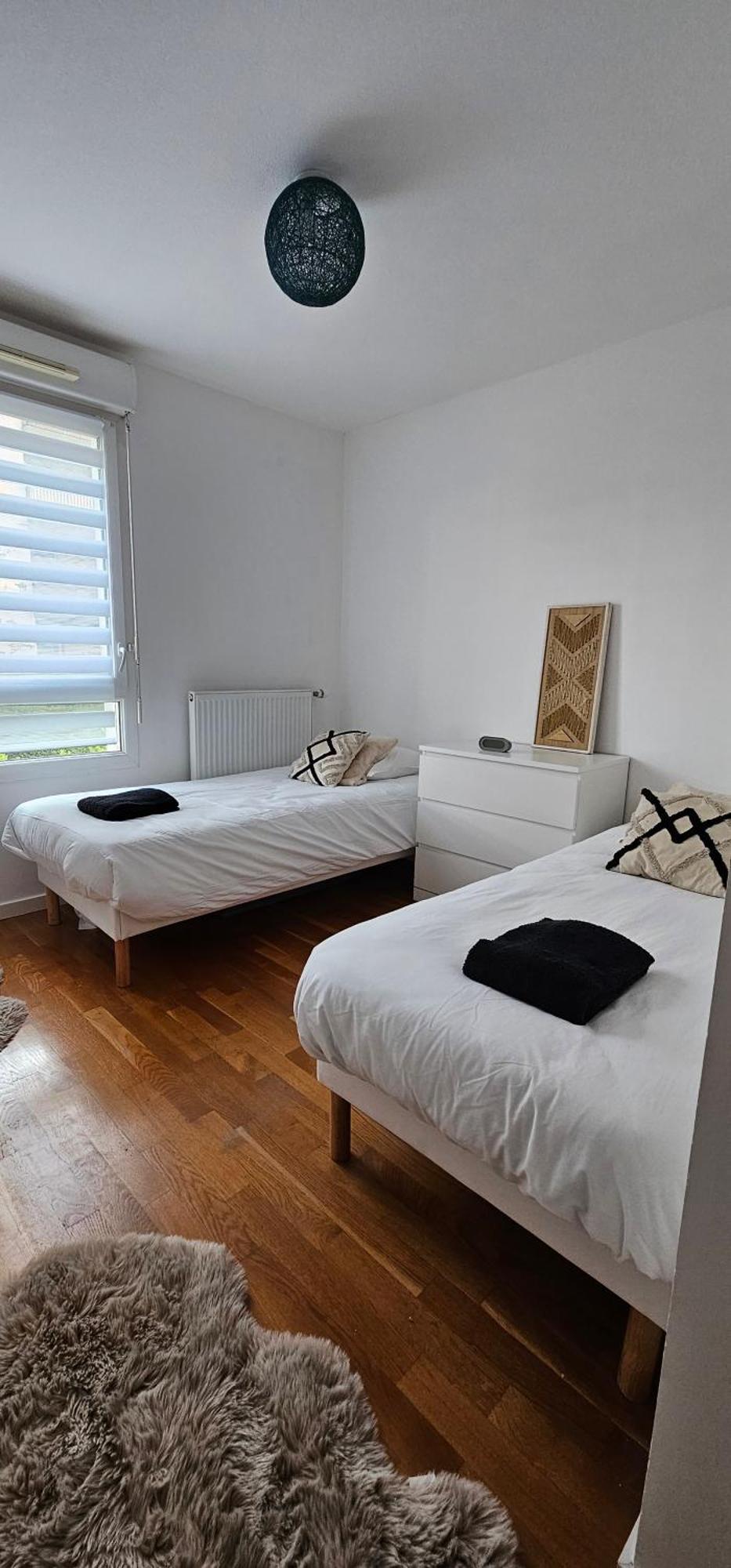 Appartement Le Cocon De Soie Superbe T3 A Vaulx En Velin Extérieur photo